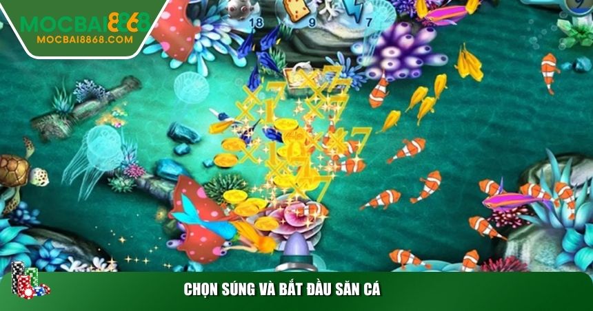 Chọn súng và bắt đầu săn cá